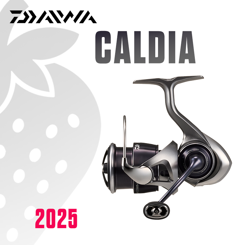 DAIWA 2025 CALDIA LT Fishing R - Daiwa Reel Bg recension och pris